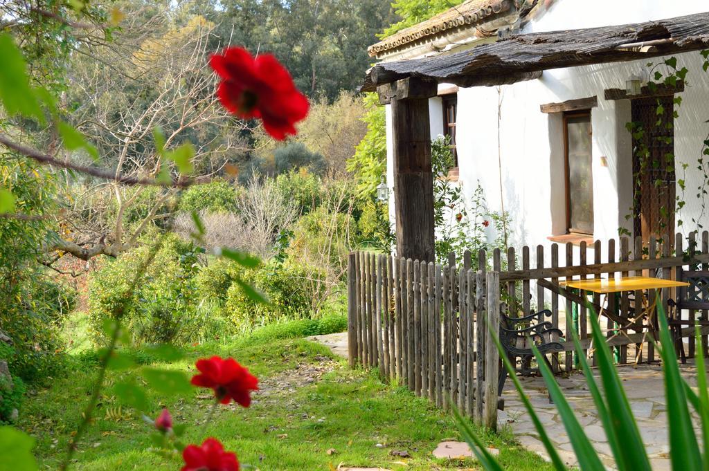 Casa Rural Ahoraya El Colmenar Екстериор снимка